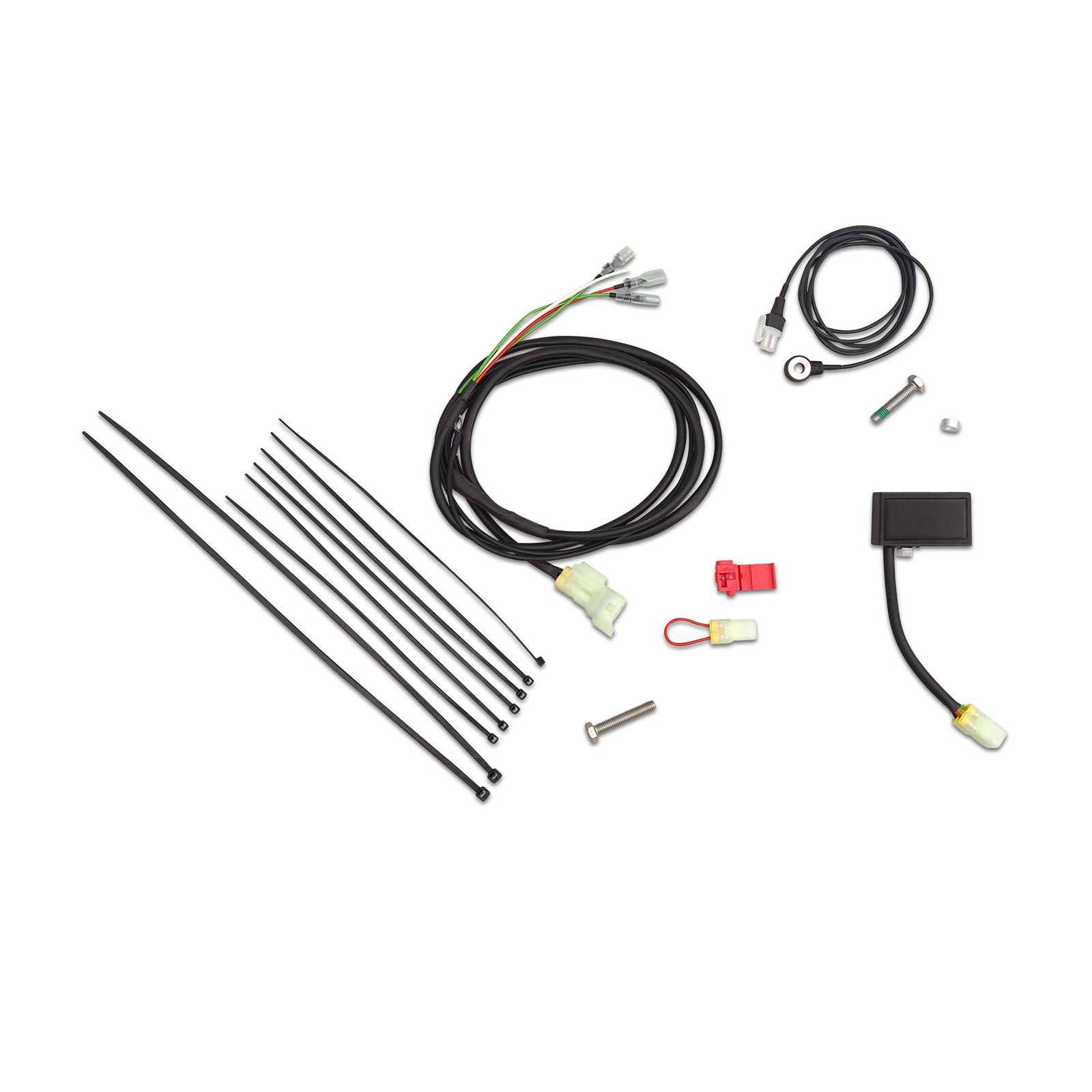 211257741-aiQT44ck7b34mo Quickshifter Triumph - AC