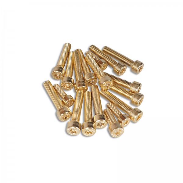 Engine cover screws stainless steel / LC / Gold