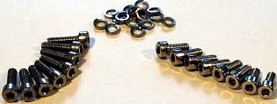 Carburetor stainless steel screws