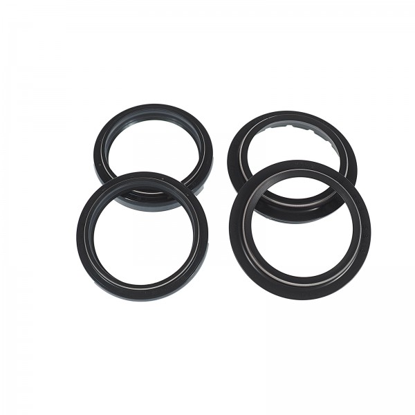 Fork oil seals + dust cap R9T