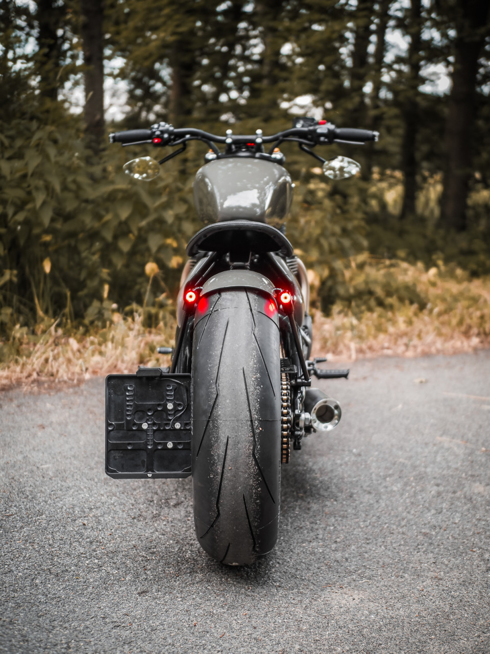 Triumph Bobber Short Rear Fender - short rear with LED indicators/rear ...